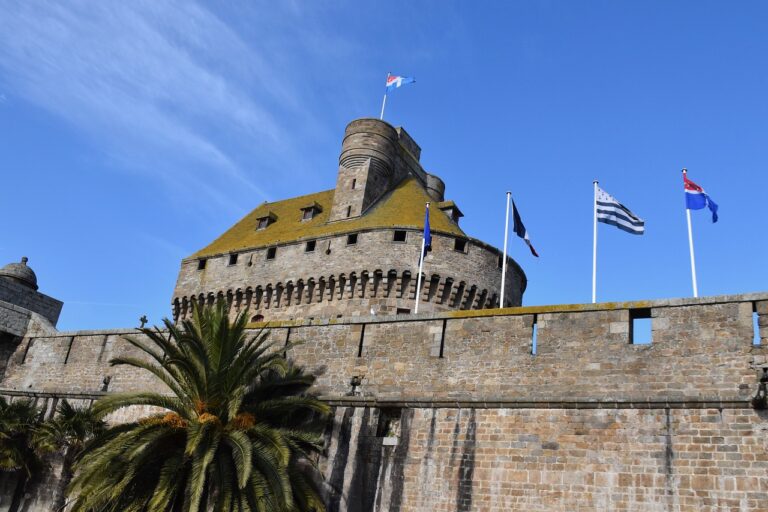 Consultant SEO Saint-Malo : attirez plus de clients grâce à Google 1 saint malo