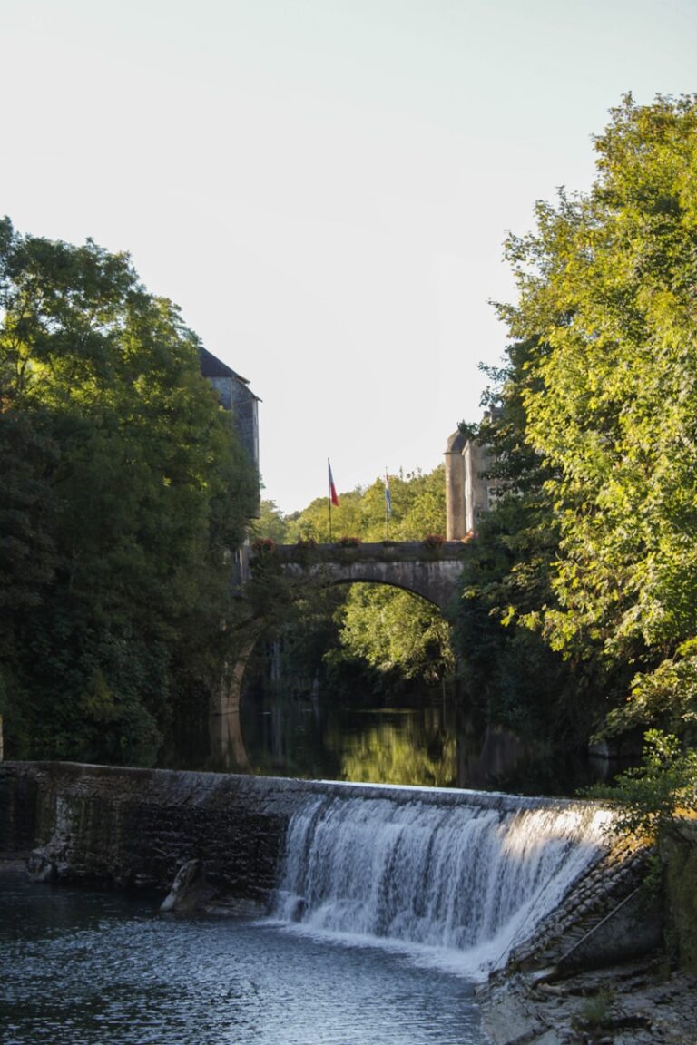 consultant seo oloron