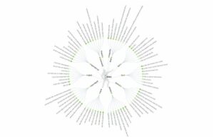 Answer the Public : L'outil indispensable pour booster votre SEO 173 answer-the-public