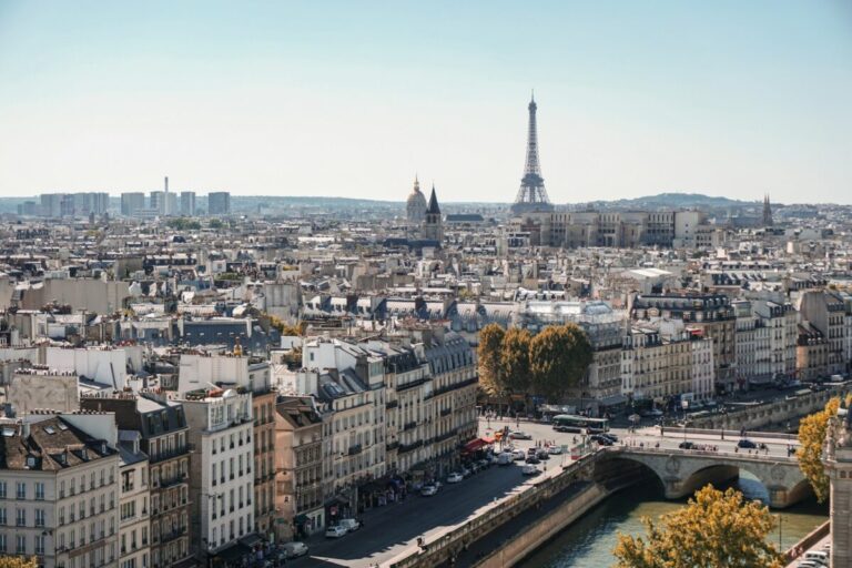 best SEO consultant in Paris