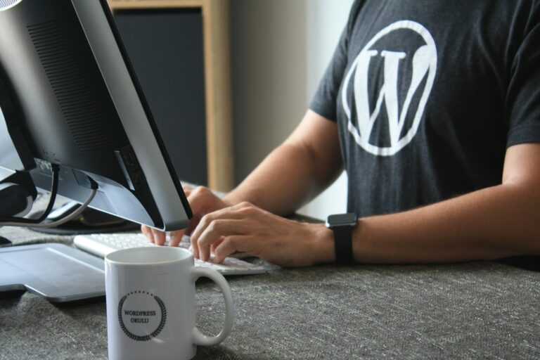Agence ou freelance wordpress : choisir pour votre PME 3 freelance seo wordpress